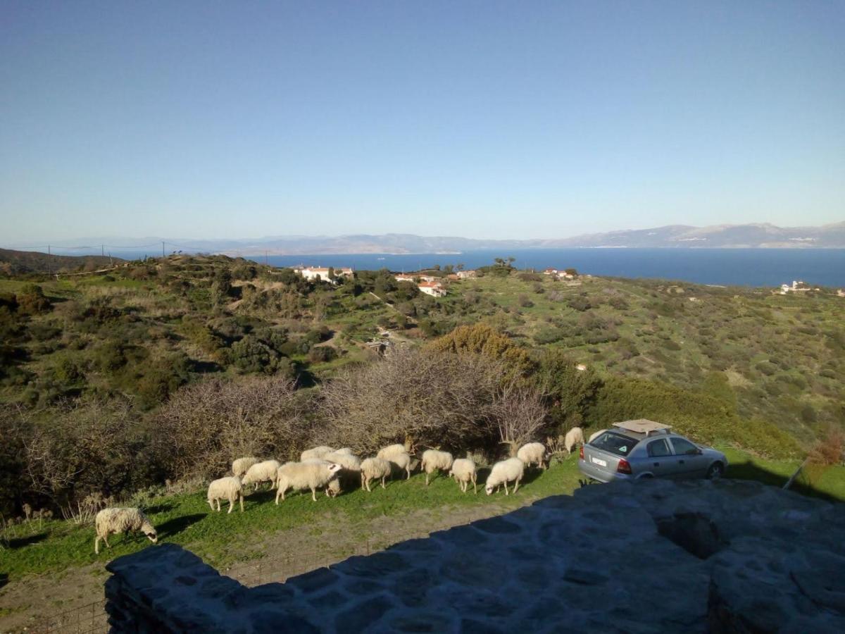 Hill'S Barbacane Potamos  Dış mekan fotoğraf
