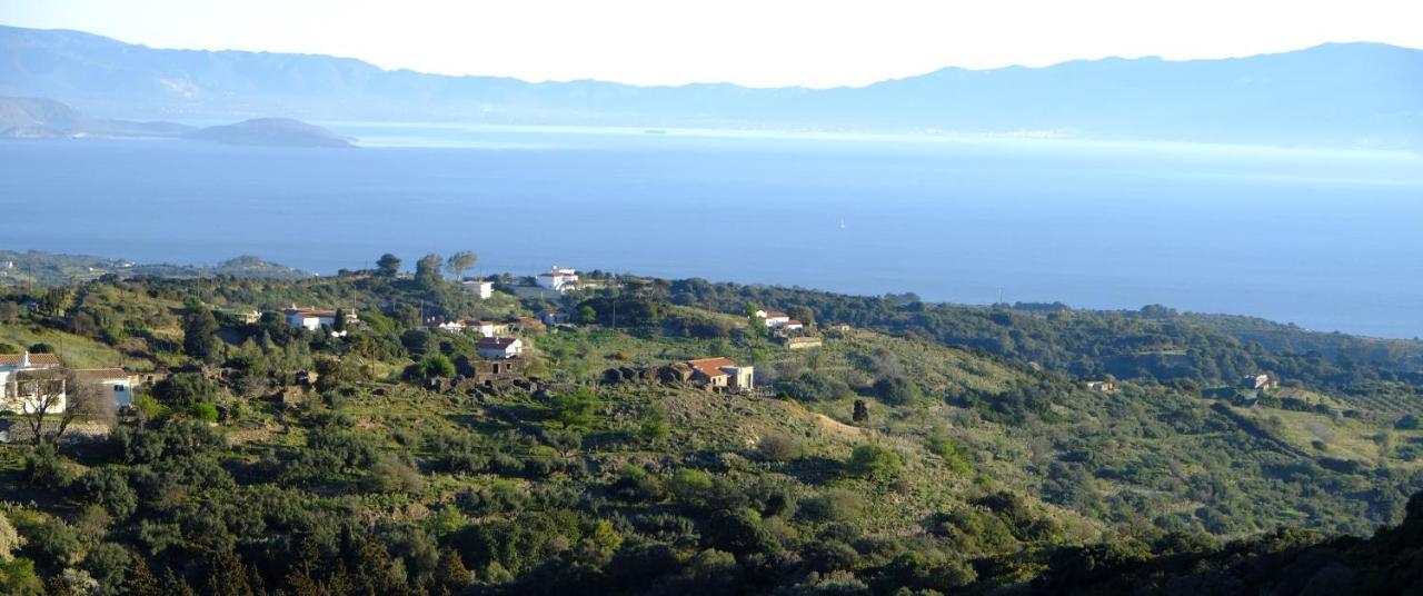 Hill'S Barbacane Potamos  Dış mekan fotoğraf