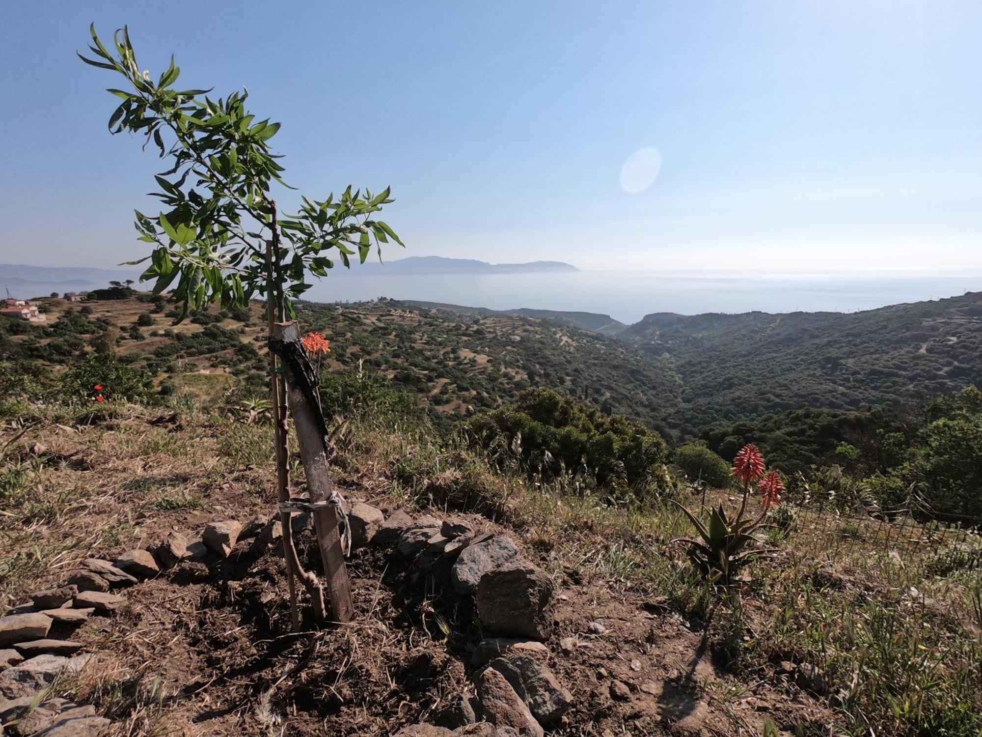 Hill'S Barbacane Potamos  Dış mekan fotoğraf